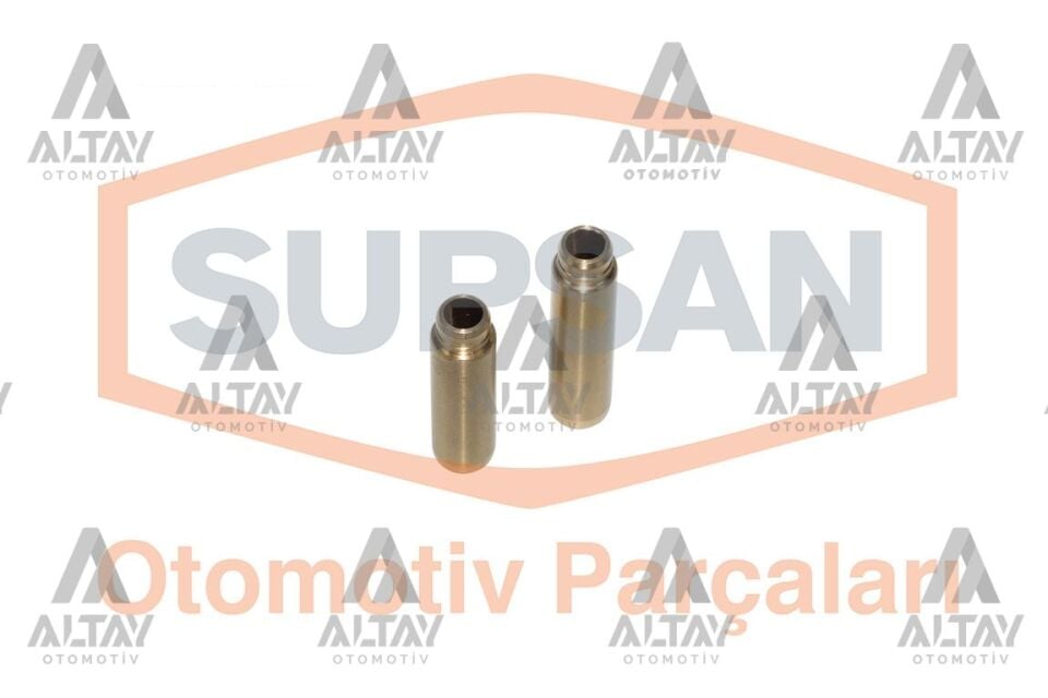 05005-05006 Supap SUPSAN | Renault Symbol