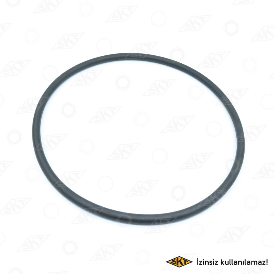 7704002415 Keçe SKT | Renault R9 / Renault R19 / Renault R21