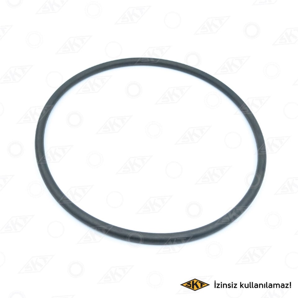 7704002415 Keçe SKT | Renault R9 / Renault R19 / Renault R21