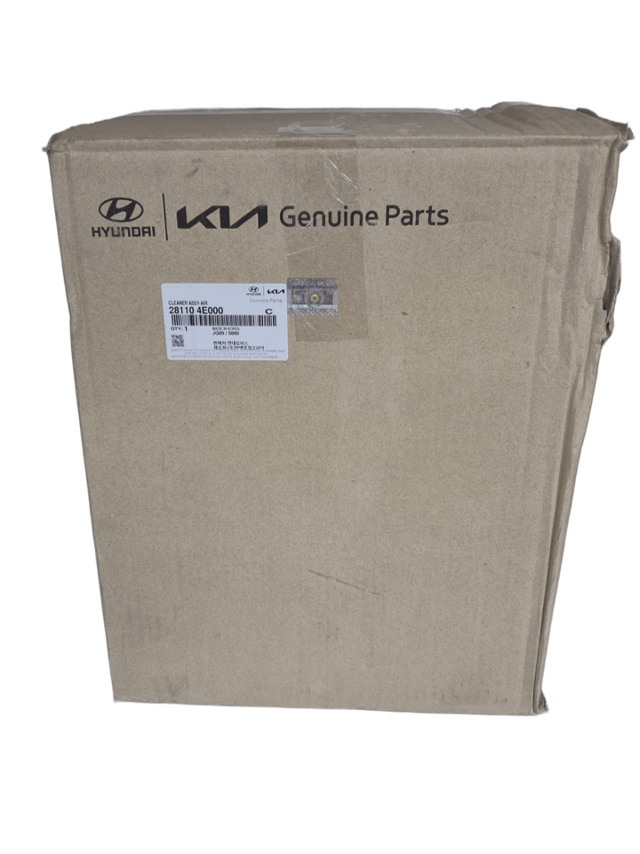 28110-4E000 Kia Mobis Hava Filtre Kazanı Bongo