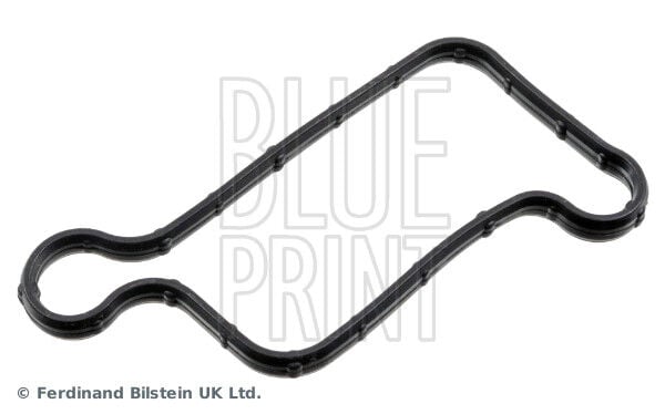 22443-2B800 Conta / Supap Lastiği Üst BLUEPRIN | Hyundai i30 / Hyundai Accent Blue