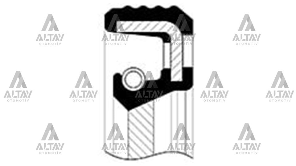 7703087224 Keçe Arka SKT | Renault Kangoo / Renault Master