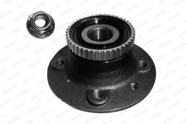 7701204689 Teker Poryası Arka SNR | Renault Laguna