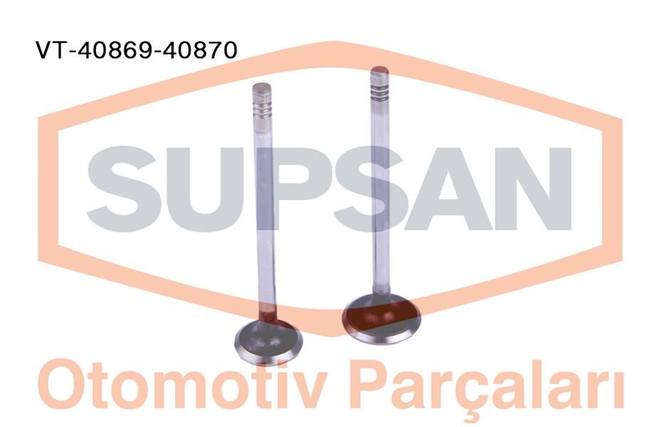 1S4G6507BB1S6G6505BA Supap SUPSAN | Ford Fiesta
