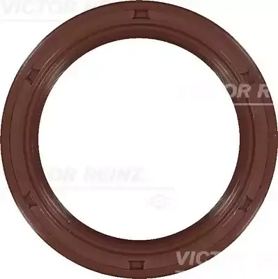 7436842273 Keçe VICTOR REINZ | Muhtelif Araçlar