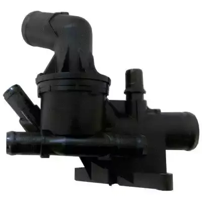 1106100Q2C Termostat Yuvası OEM PARTS | Renault R9