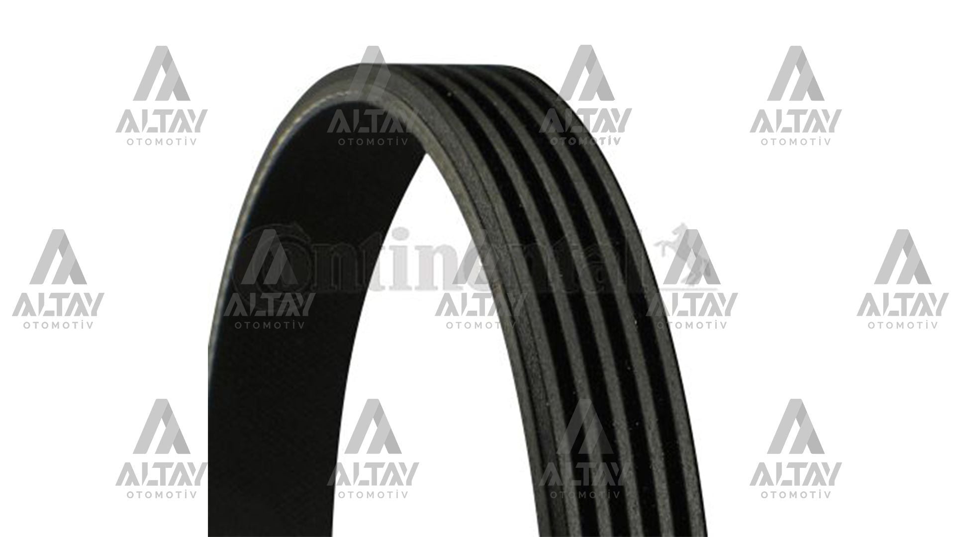 5PK1546 Kanallı Kayış CONTINEN | Fiat Stilo