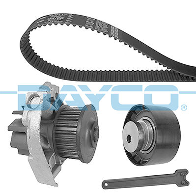71771575 Eksantrik Kayısı DAYCO | Fiat Palıo albea marea grande Pun