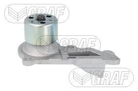210109334R Devirdaim (Su Pompası) GRAF | Renault Kadjar