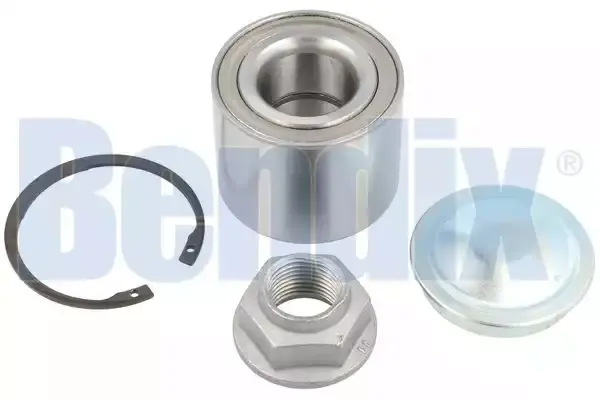 432102069R Teker Rulmanı Arka SNR | Renault Clio 3