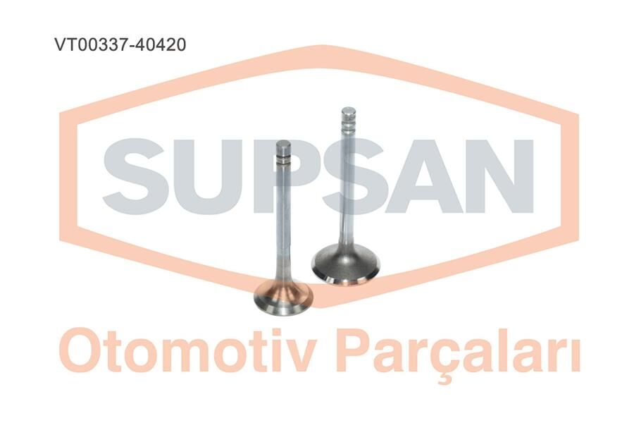 77006905777702127496 Supap SUPSAN | Renault R9