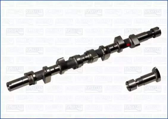 7700106678 Eksantrik Mili ESTAS | Renault Kangoo