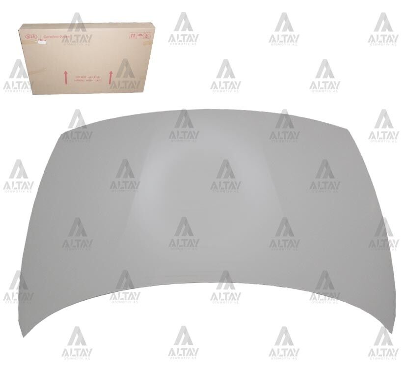 66400-1W010 Kaput MOBIS | Kia Rio