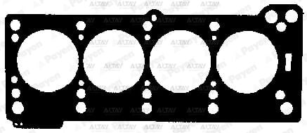 7700872030 Conta / Supap Lastiği PAYEN | Renault Kangoo