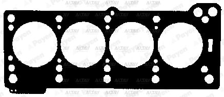7700872030 Conta / Supap Lastiği PAYEN | Renault Kangoo
