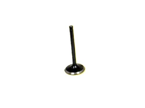 77001074897700107490 Supap GUNES | Renault Laguna