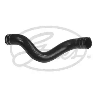 51805813 Radyator Hortumu Alt REGUS | Fiat Linea 1.3 MJT