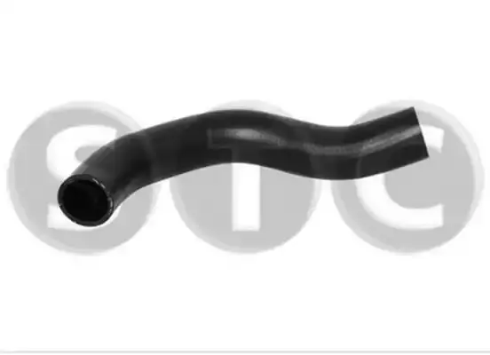 254111R300 Radyator Hortumu Ust REGUS | Hyundai Accent Blue