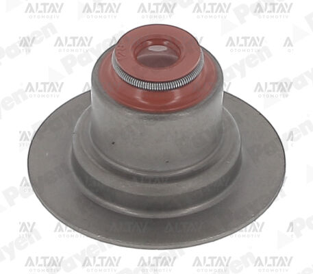 7700103938 Conta / Supap Lastiği PAYEN | Renault Laguna