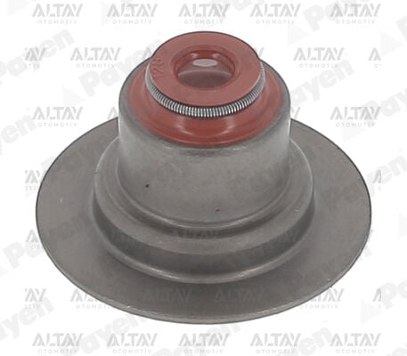 7700103938 Conta / Supap Lastiği PAYEN | Renault Laguna