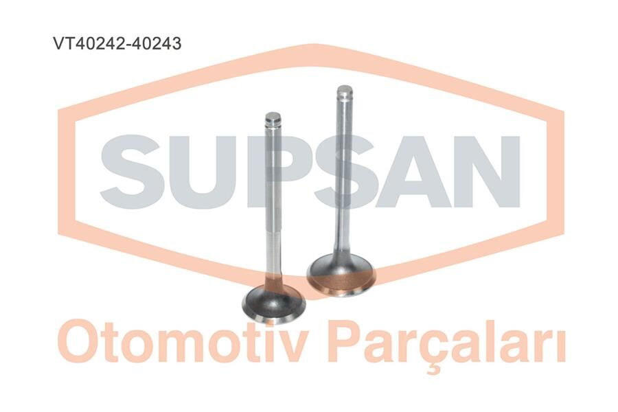 77014693697701469373 Supap SUPSAN | Renault Kangoo