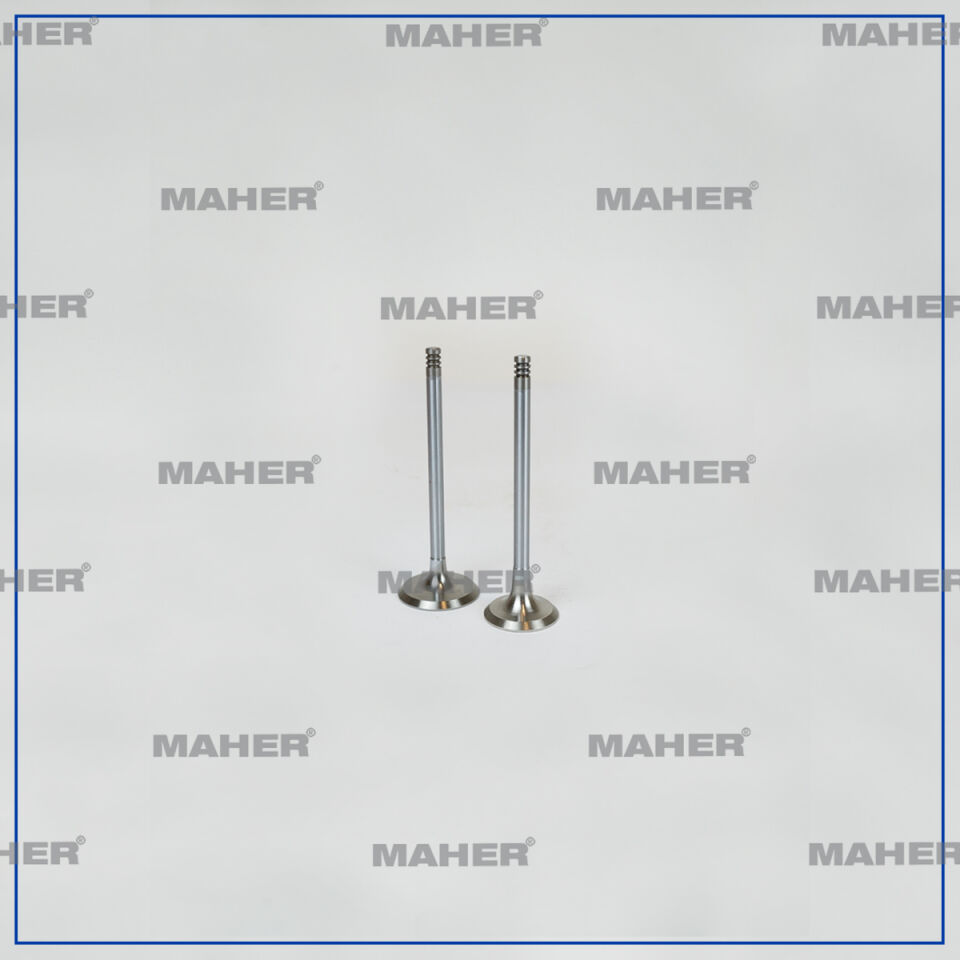 77014731847701473183 Supap MAHER | Renault Megane 2 / Renault Kangoo
