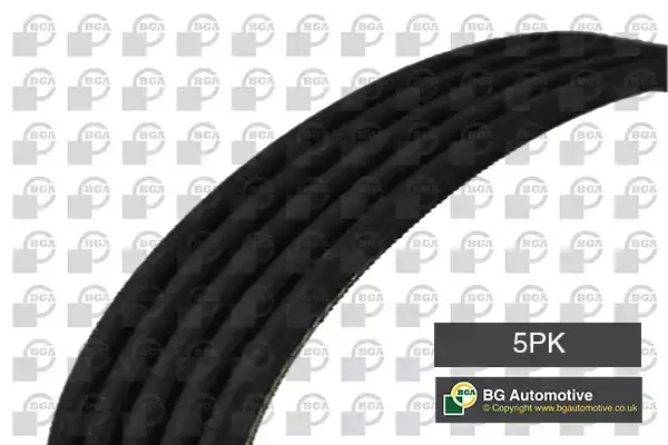 1346034 Kanalli V Kayisi 5PK705 ZEGEN | Ford Focus / C max