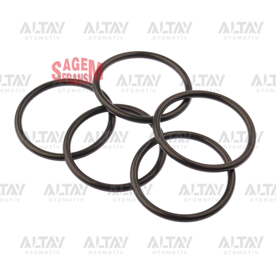 8200267272 Termostat SAGEM | Muhtelif Araçlar