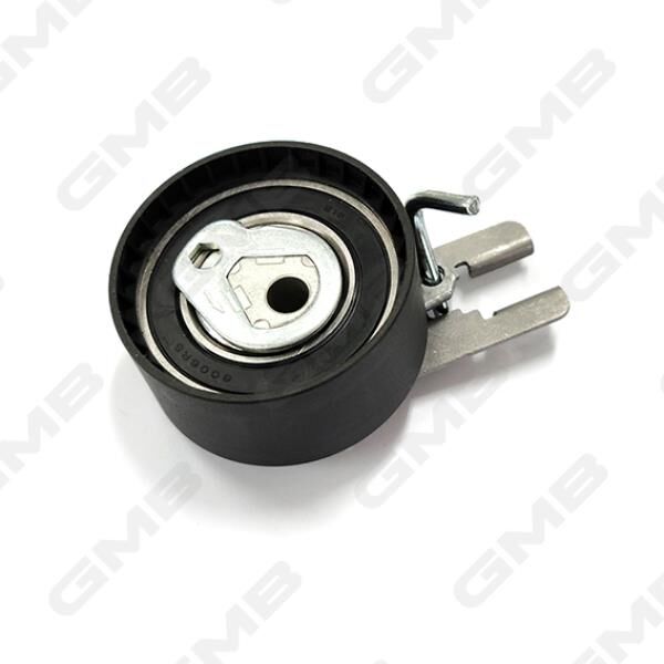 2S6Q6B217AE Gergi Rulmanı GMB | Ford Fiesta / Ford Focus