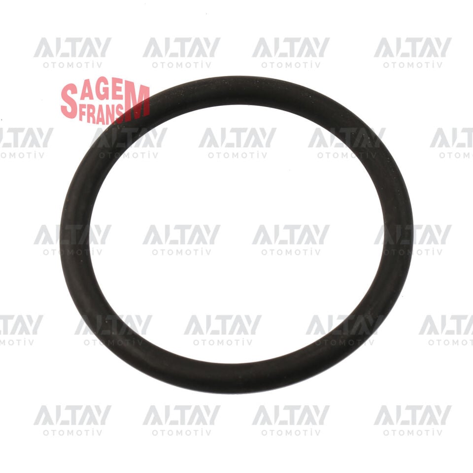8200068583 Motor Parçası SAGEM | Renault Laguna