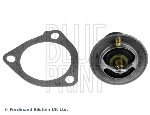 212006N210 Termostat BLUEPRIN | Renault Koleos