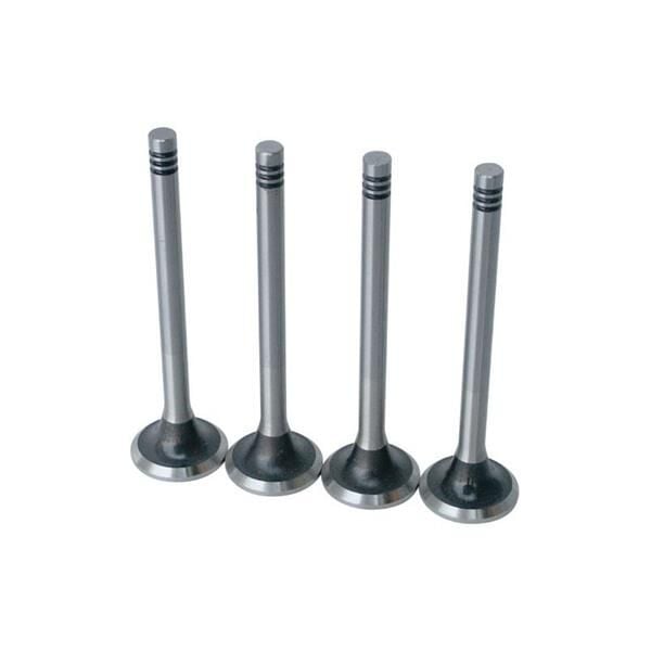 WL01-12111WL01-12121 Supap GUNES | Ford Ranger