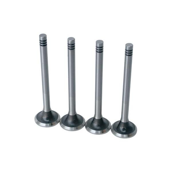 WL01-12111WL01-12121 Supap GUNES | Ford Ranger
