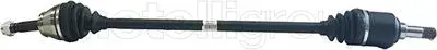 51757653 Komple Aks Sag On GVA | Fiat Doblo 1.4 01 10