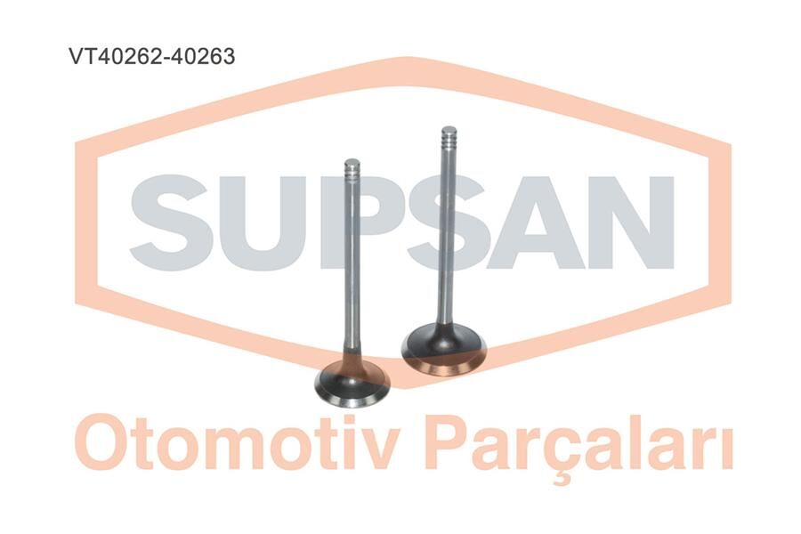 77014731847701473183 Supap SUPSAN | Renault Megane 2 / Renault Kangoo