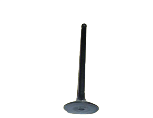 504069199500362856 Supap GUNES | Fiat Ducato