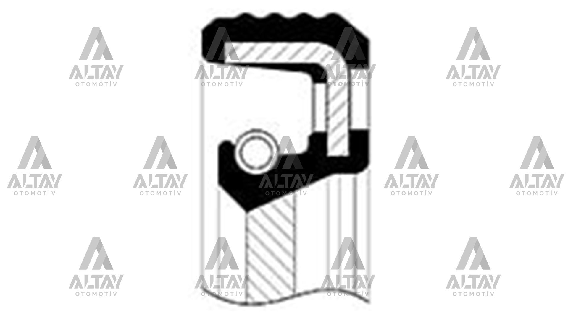 7700859692 Keçe Arka SKT | Renault R19