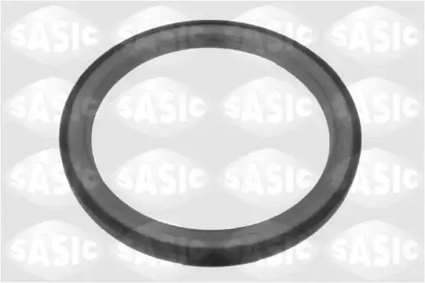 7700859692 Keçe Arka SKT | Renault R19
