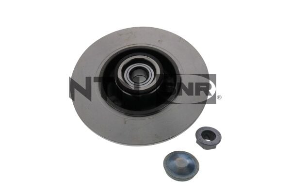 432000185R Fren Diski Arka SNR | Renault Megane 2 / Renault Megane 3 / Renault Megane 4