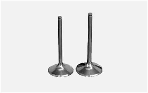 77014726697701472670 Supap GUNES | Renault Master