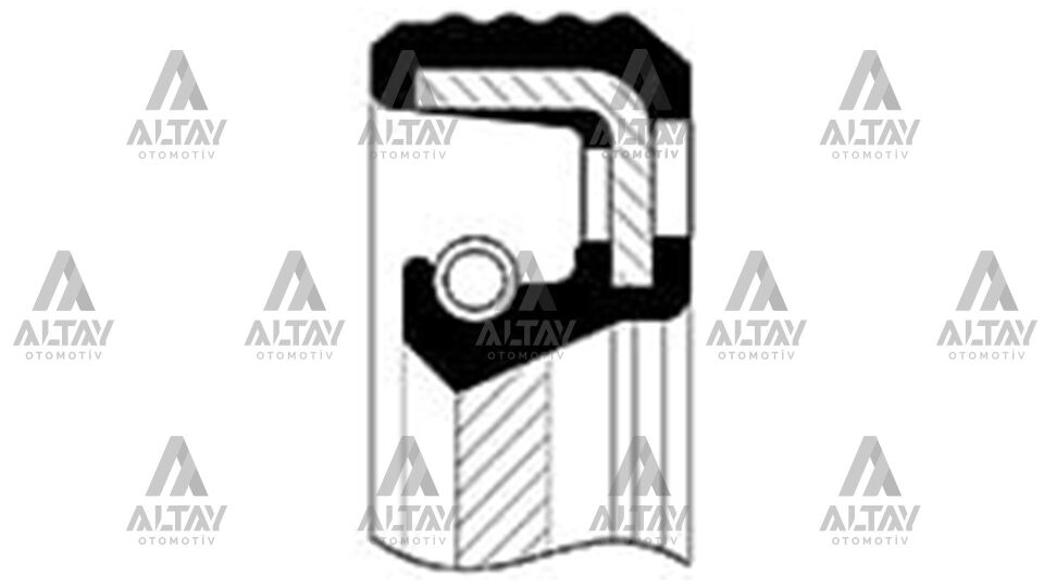 7700101348-8200934089 Keçe SKT | Dacia Logan / Renault R19