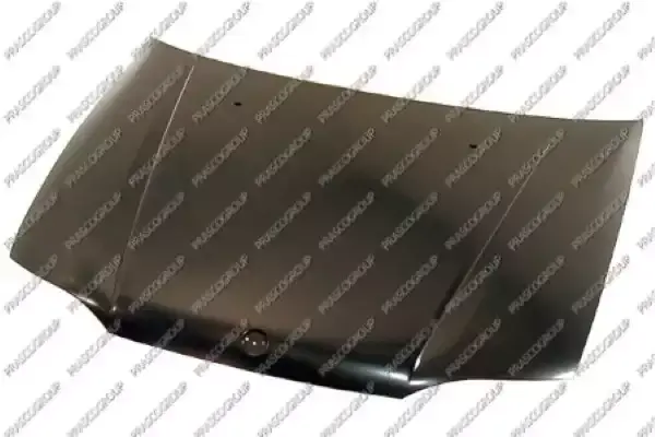 7078281 Kaput TAIWAN | Fiat Palio / Fiat Siena