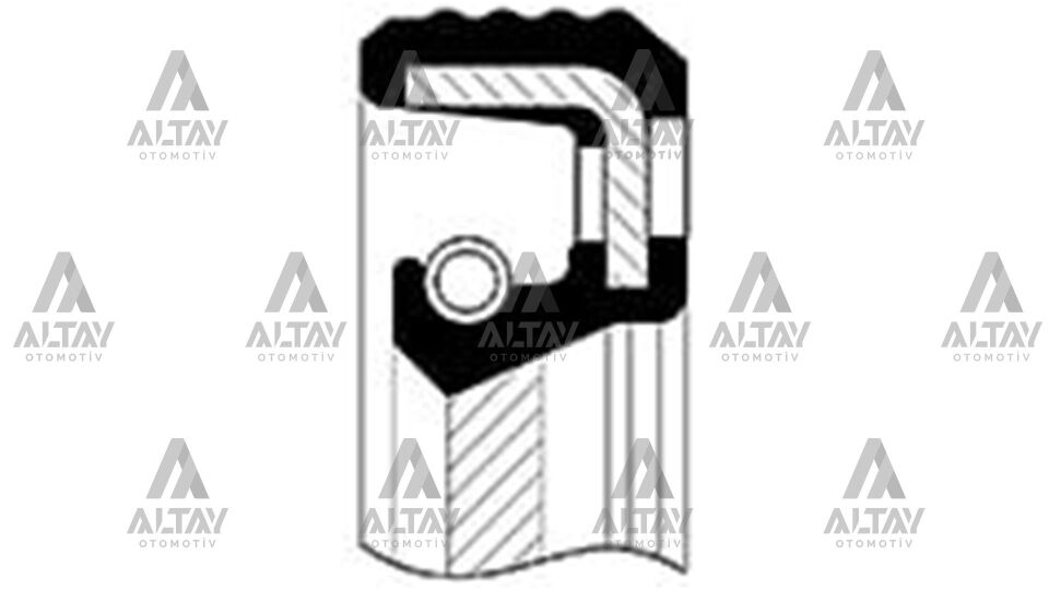 7701475009 Keçe Ön SKT | Renault R19
