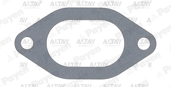 5001001283 Conta / Supap Lastiği PAYEN | Renault Master / Fiat Ducato