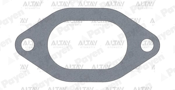 5001001283 Conta / Supap Lastiği PAYEN | Renault Master / Fiat Ducato