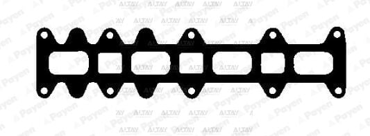 500376626 Conta / Supap Lastiği PAYEN | Fiat Ducato